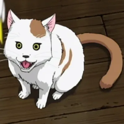 Shū